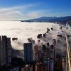 planta 42