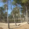 Parque de la "Sèquia Mare"